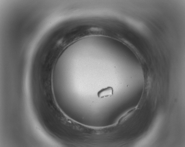 X0000054371199200508121532