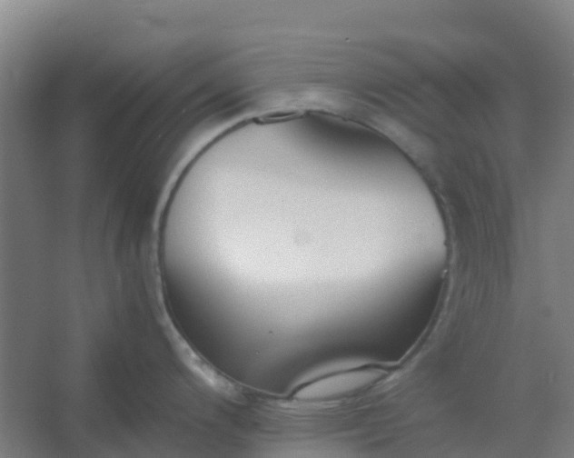 X0000054371200200508121532