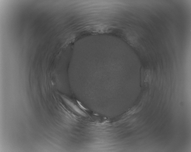 X0000054371202200508121531