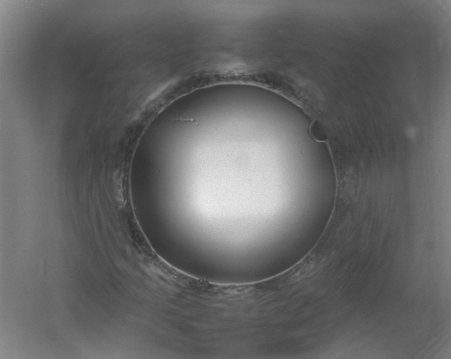 X0000054371205200508121531