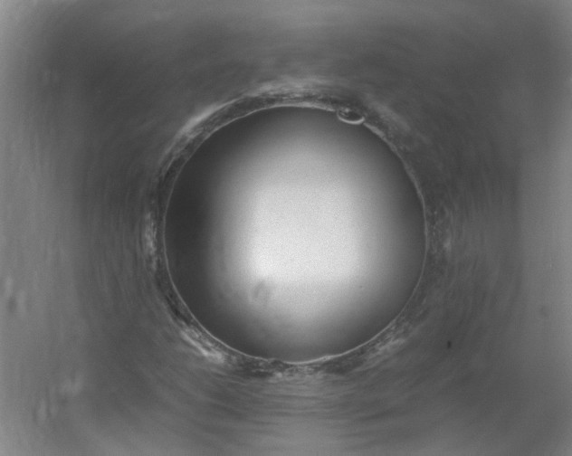 X0000054371206200508121531