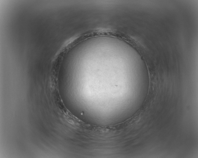 X0000054371207200508121531