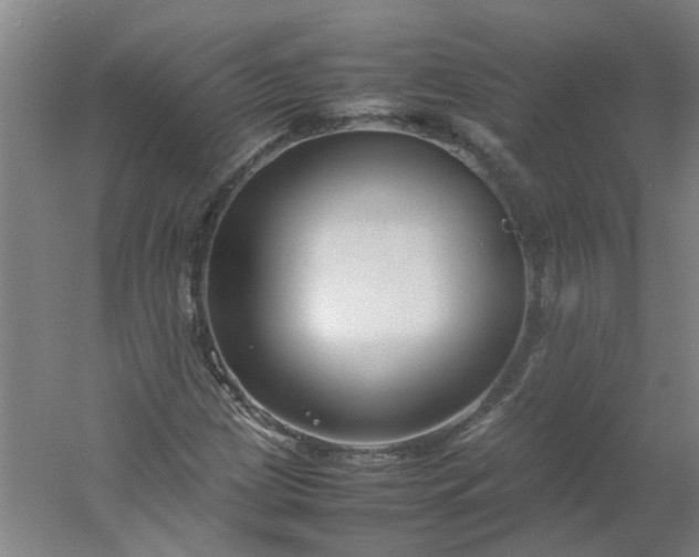 X0000054371209200508121531