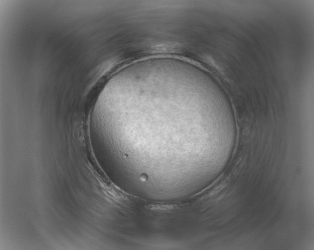 X0000054371211200508121531