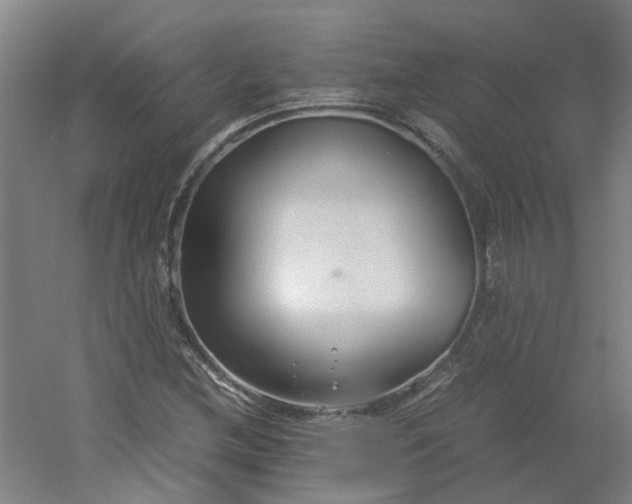 X0000054371212200508121531