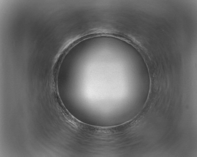 X0000054371215200508121531