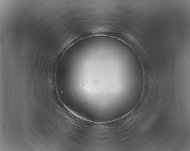 X0000054371217200508121531