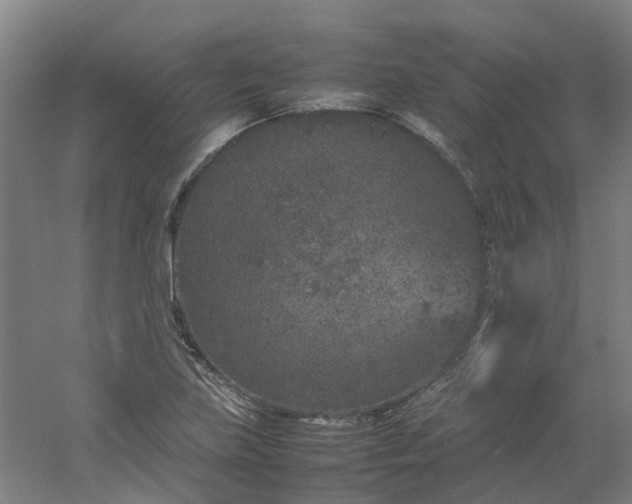 X0000054371219200508121531