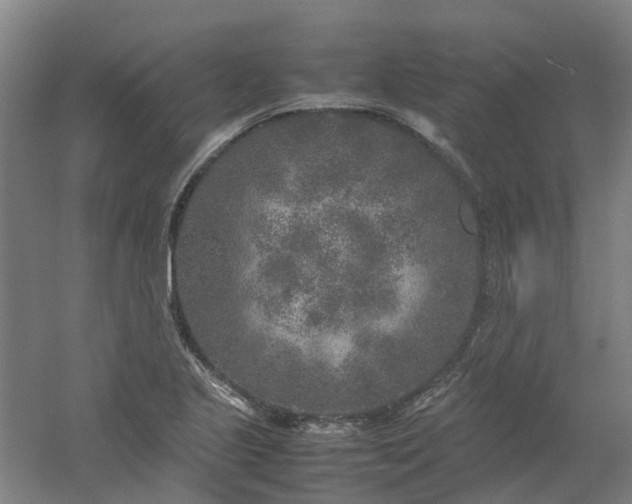 X0000054371221200508121531