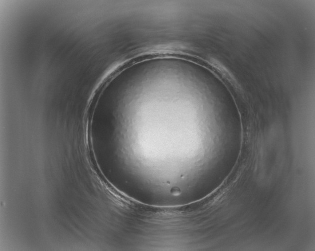 X0000054371224200508121531