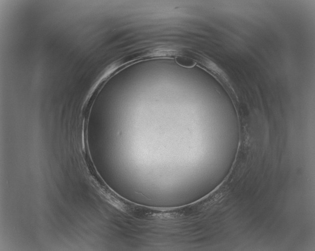 X0000054371227200508121531