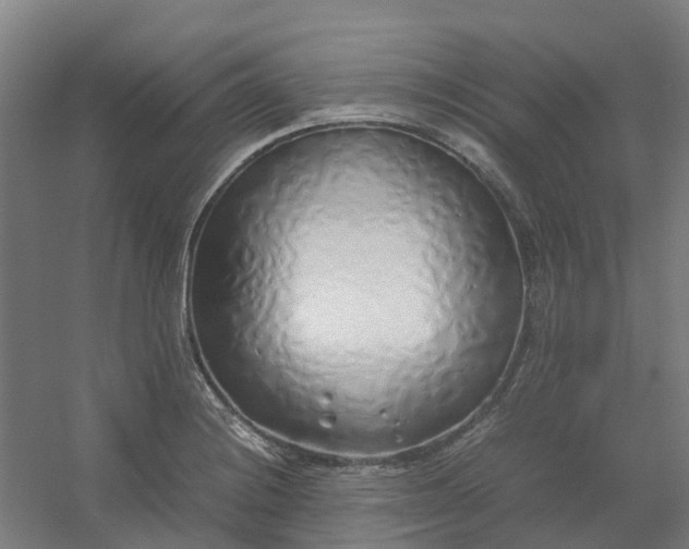 X0000054371228200508121531