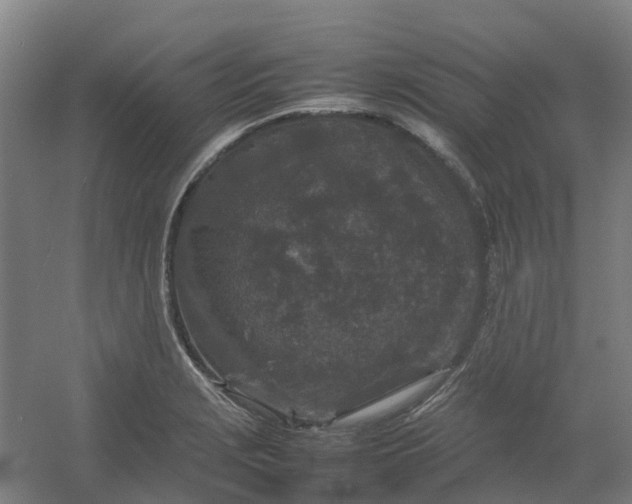 X0000054371229200508121531