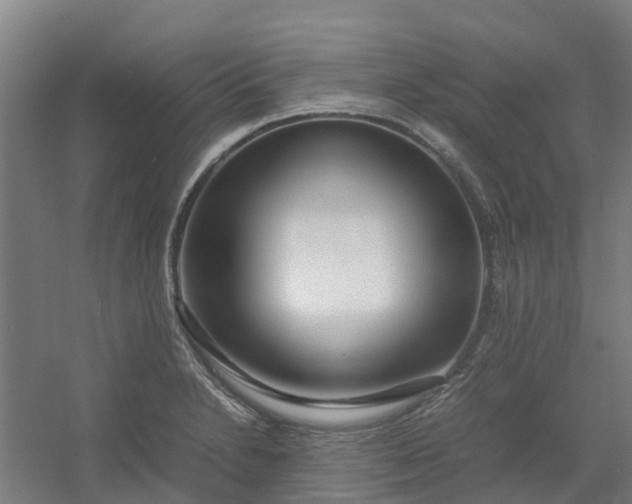 X0000054371230200508121532