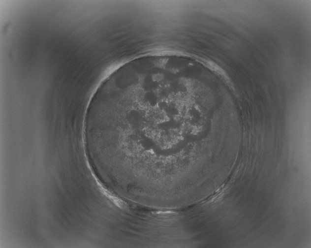 X0000054371231200508121532