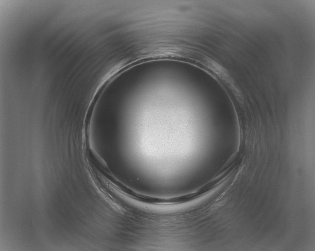 X0000054371234200508121532