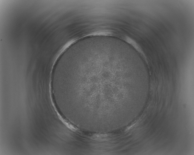 X0000054371237200508121532