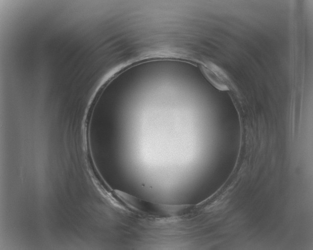 X0000054371238200508121532