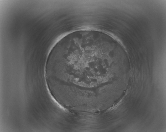 X0000054371239200508121532