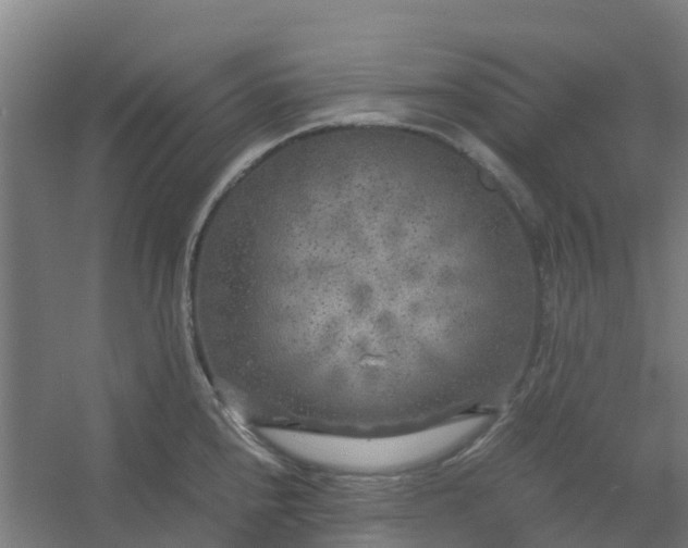 X0000054371240200508121532