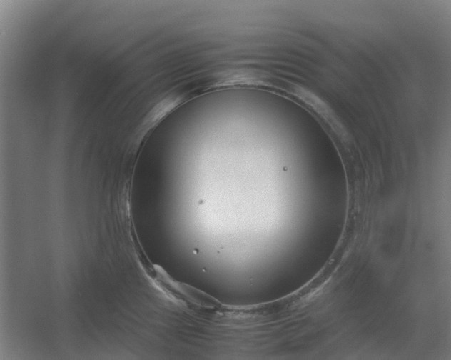 X0000054371241200508121532