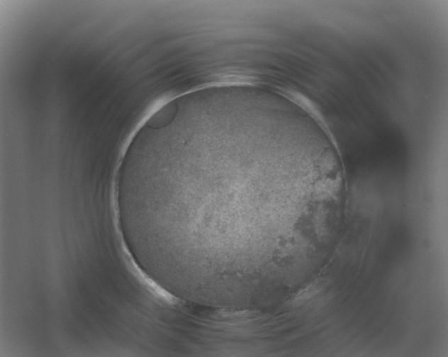 X0000054371243200508121532