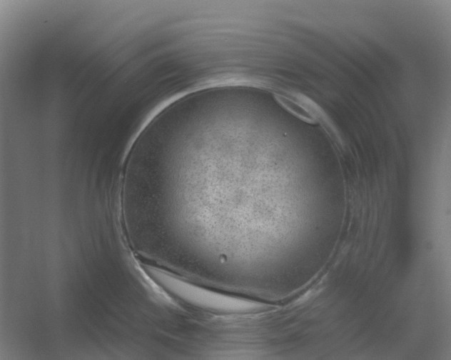 X0000054371244200508121532