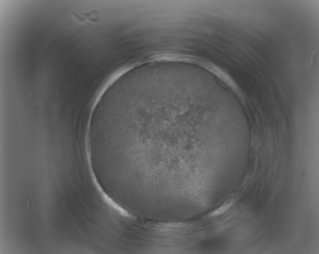 X0000054371247200508121532