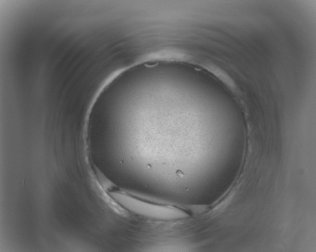 X0000054371248200508121532