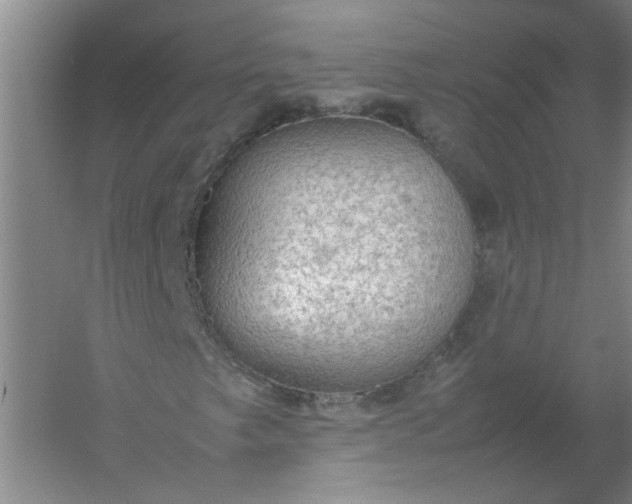 X0000054371249200508121531