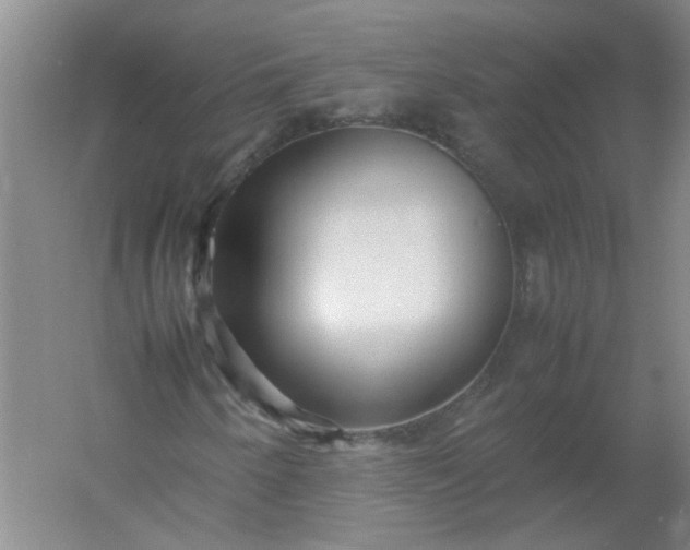 X0000054371250200508121531