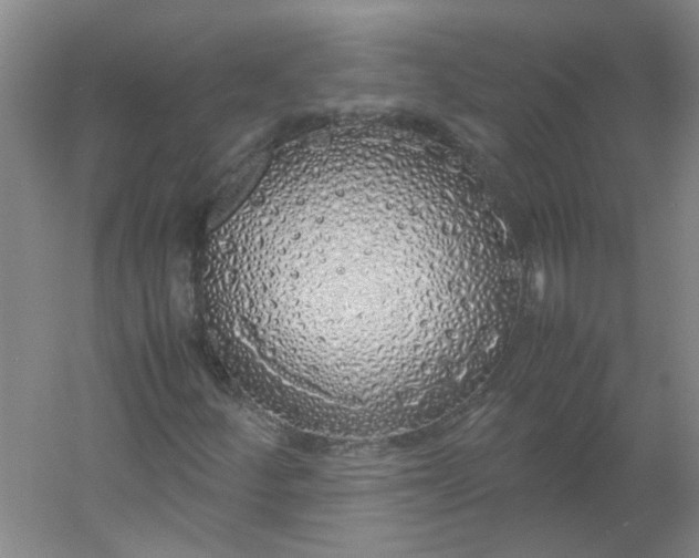 X0000054371252200508121531