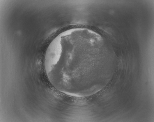 X0000054371254200508121531