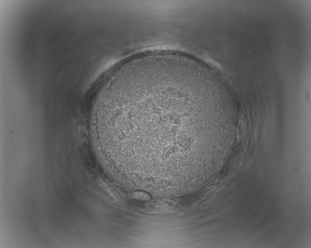 X0000054371255200508121531