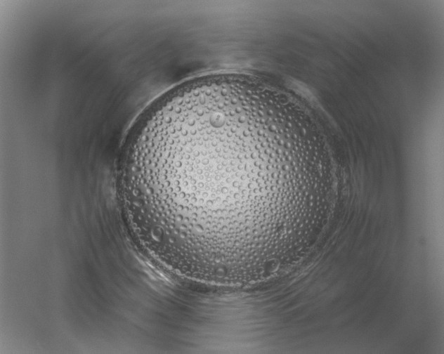 X0000054371260200508121531