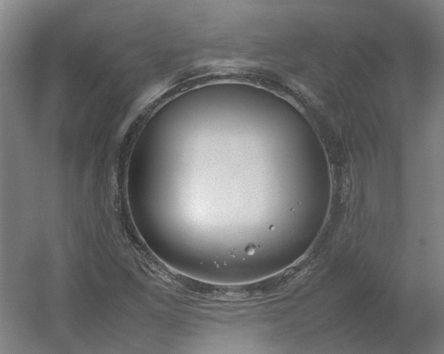 X0000054371261200508121531