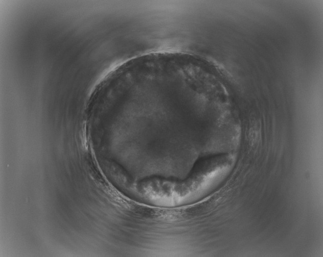 X0000054371262200508121531