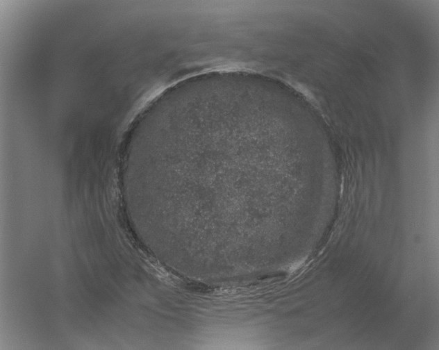 X0000054371263200508121531