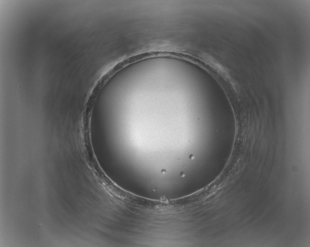 X0000054371264200508121531