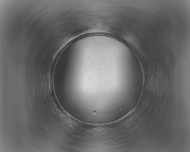 X0000054371268200508121531