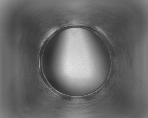 X0000054371269200508121531