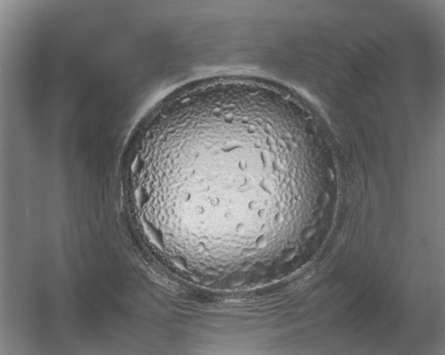 X0000054371271200508121531