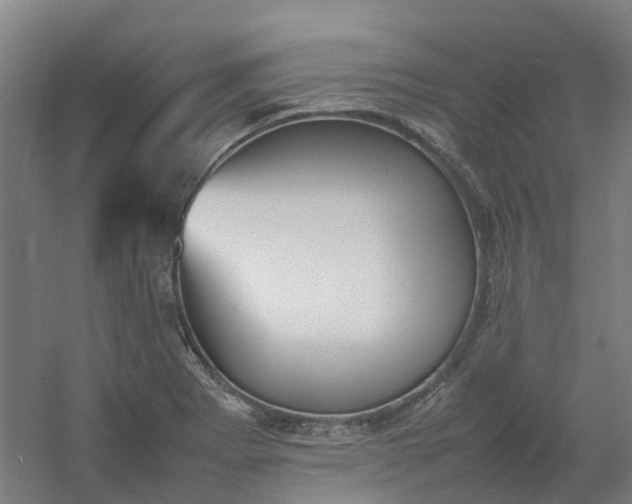 X0000054371273200508121531