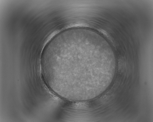 X0000054371274200508121531