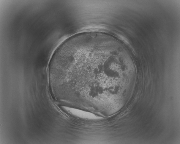 X0000054371275200508121531