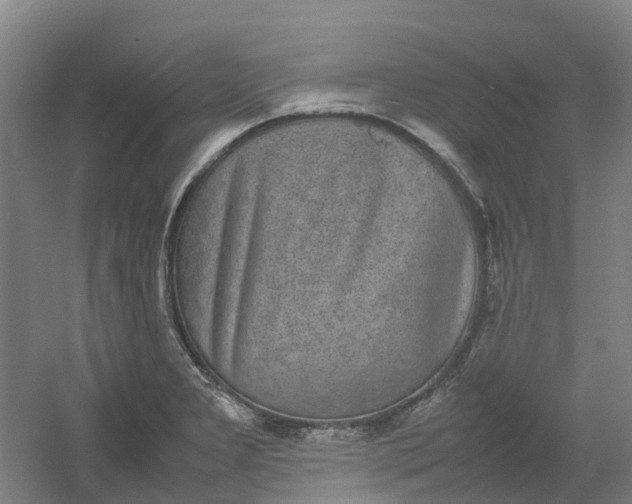 X0000054371277200508121531