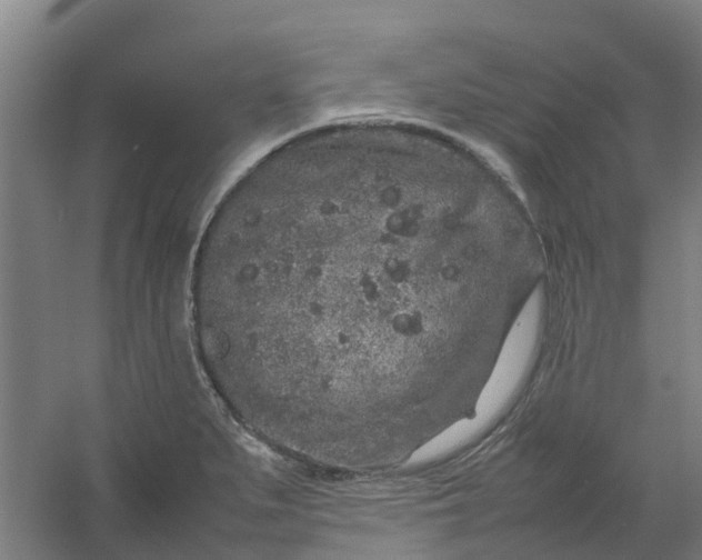 X0000054371279200508121530