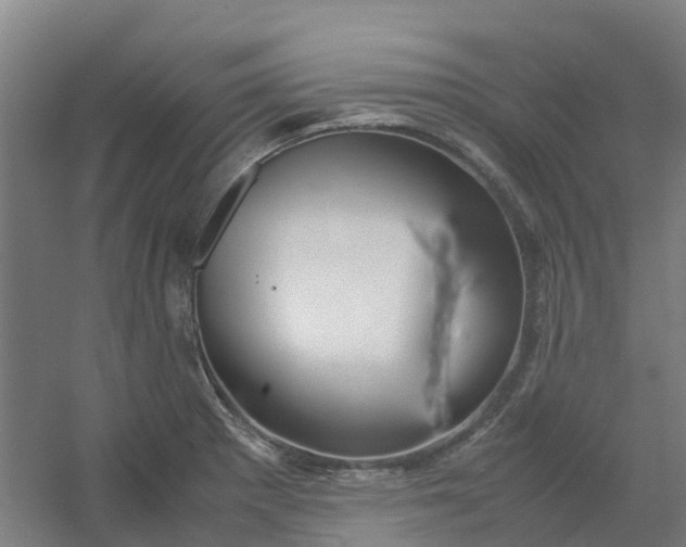 X0000054371281200508121530