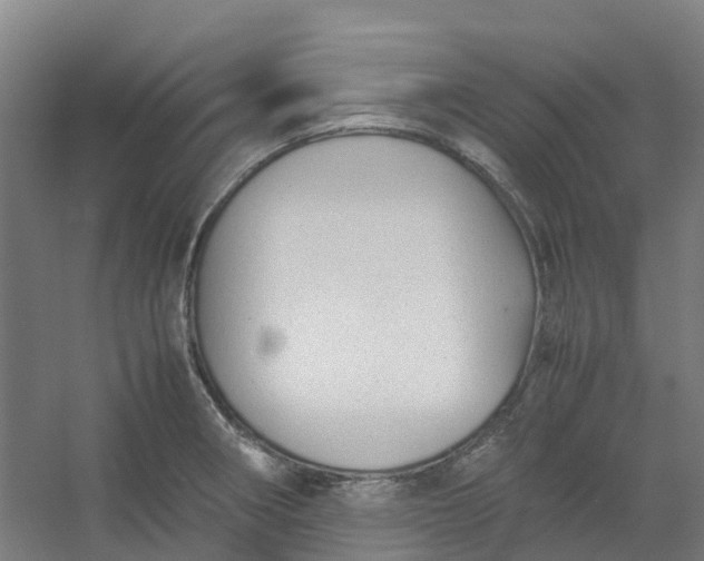 X0000054371282200508121530