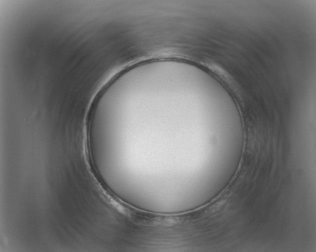 X0000054371286200508121530